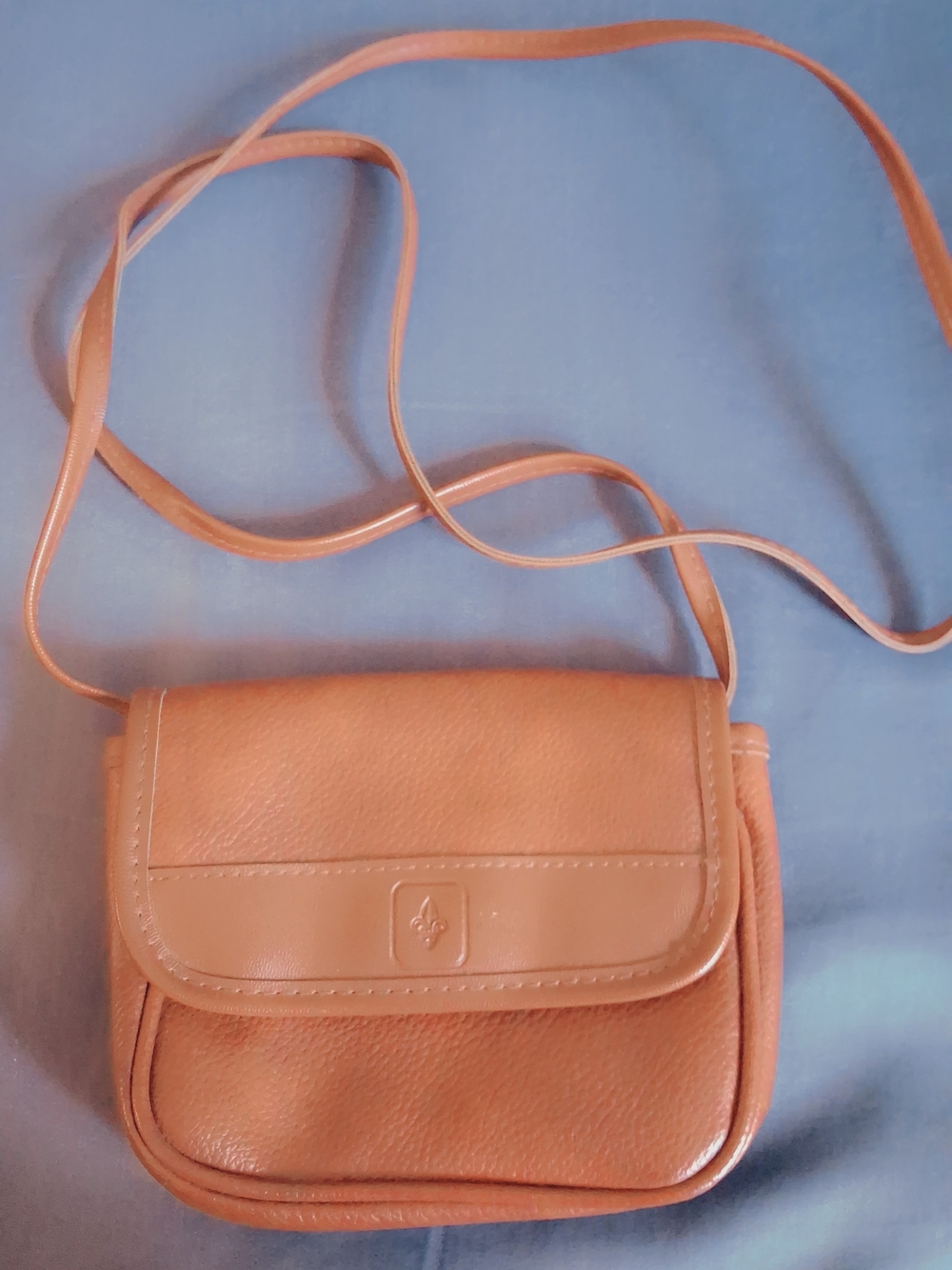 Vintage Small Brown Shoulder Bag/ Crossbody Purse w/Fleur de Lis